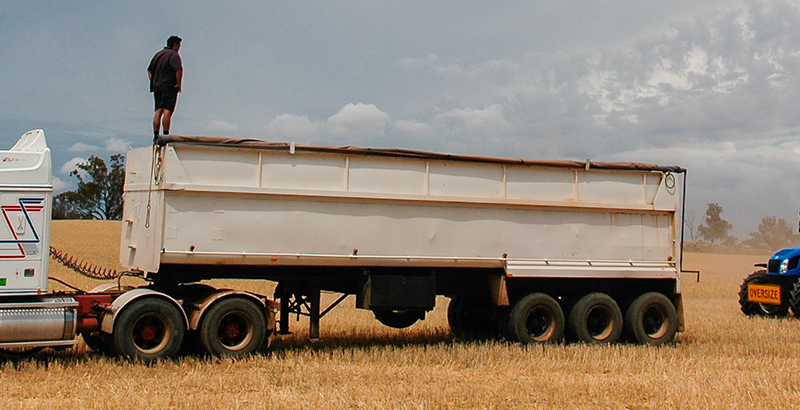 Janlin Harvest Transport Truck Grain